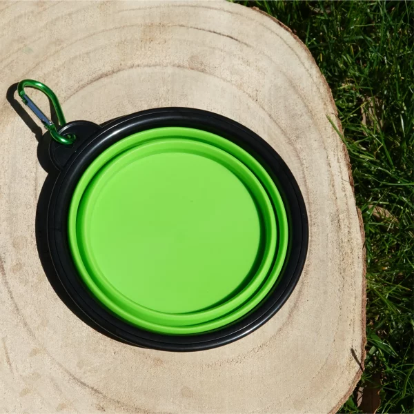 bowl plegable de color verde